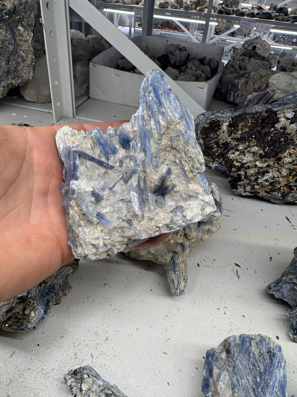 Blue Kyanite "B"