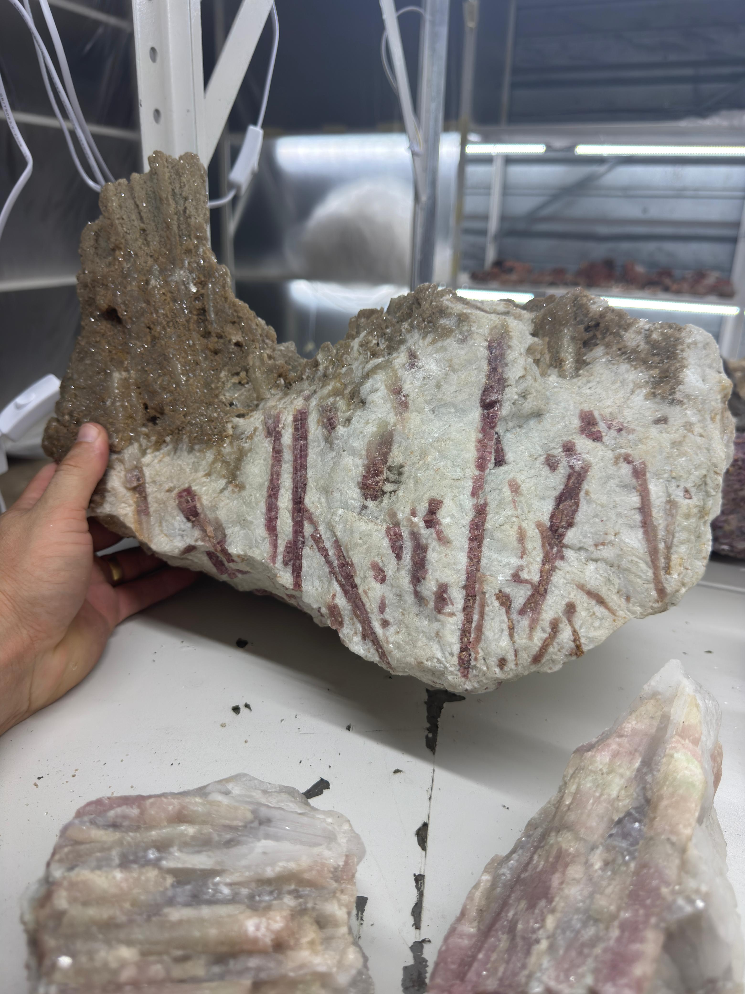 Pink Tourmaline in Albite with Morganite