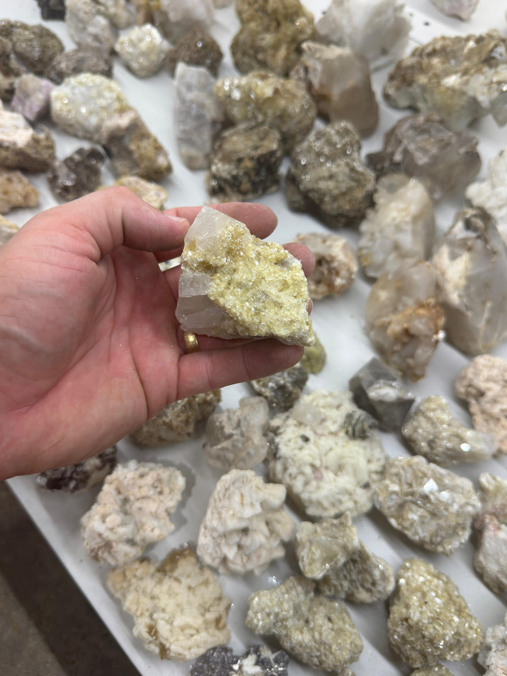 Yellow Lepidolite