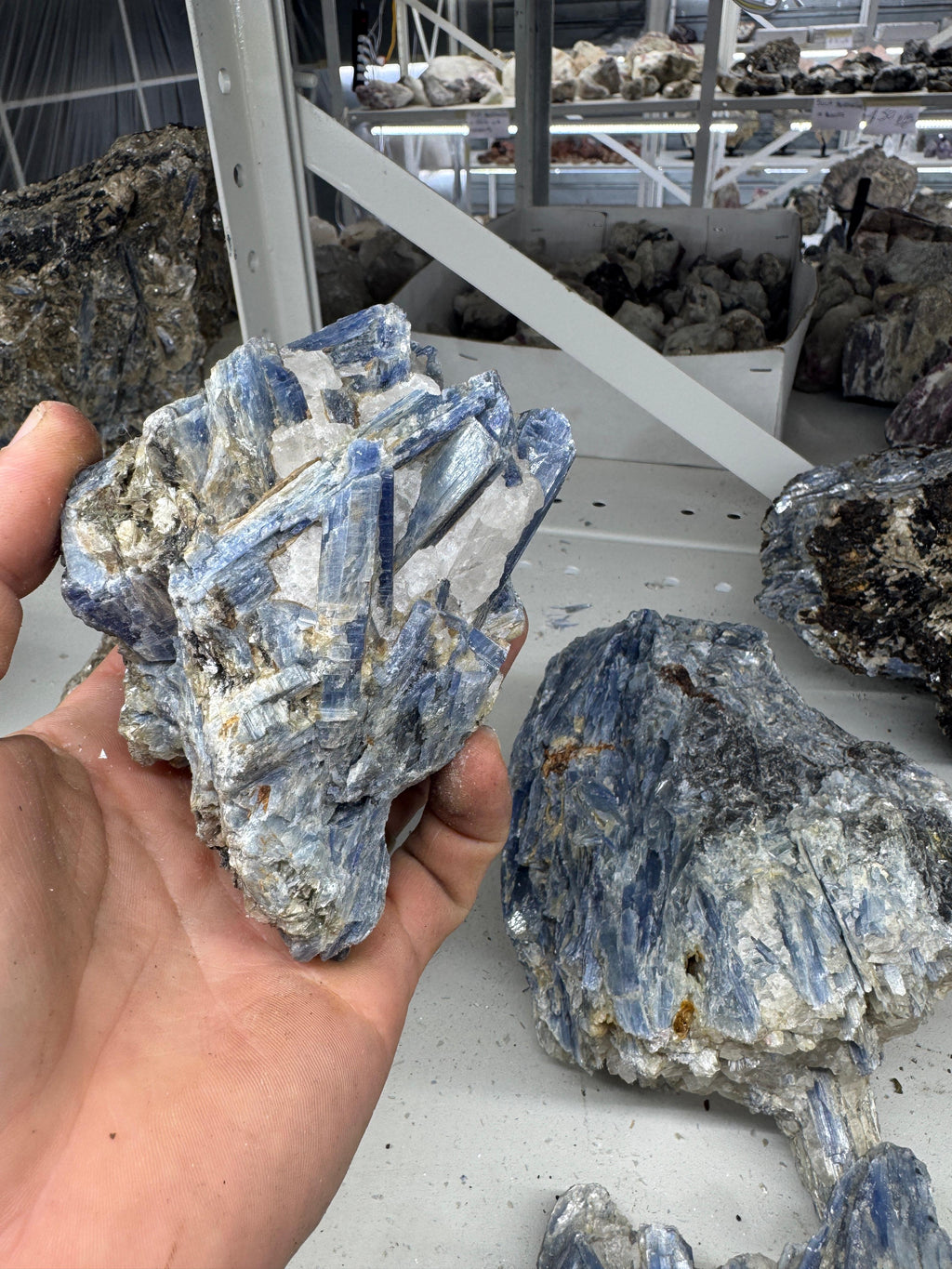 Blue Kyanite "B"