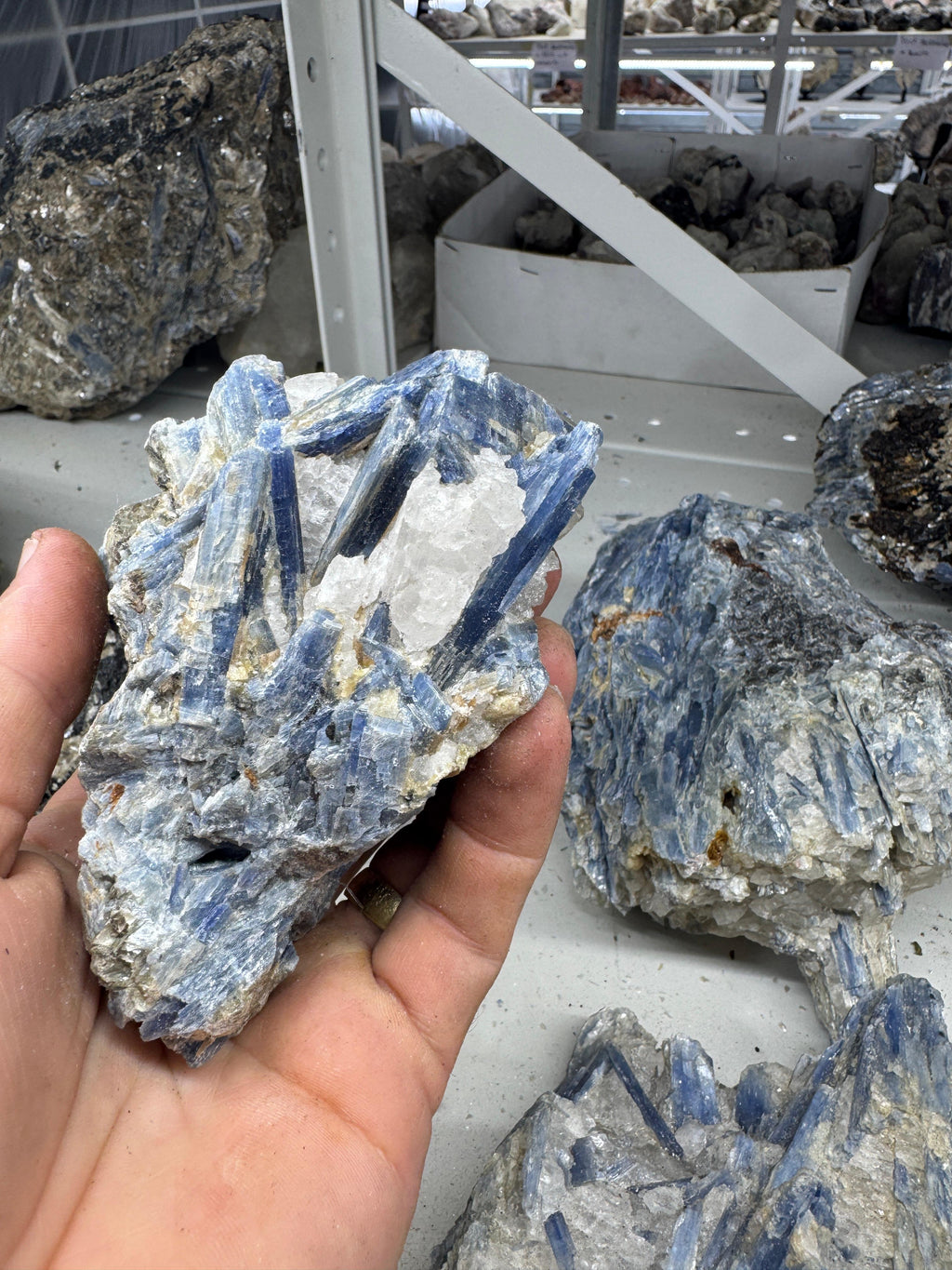 Blue Kyanite "B"