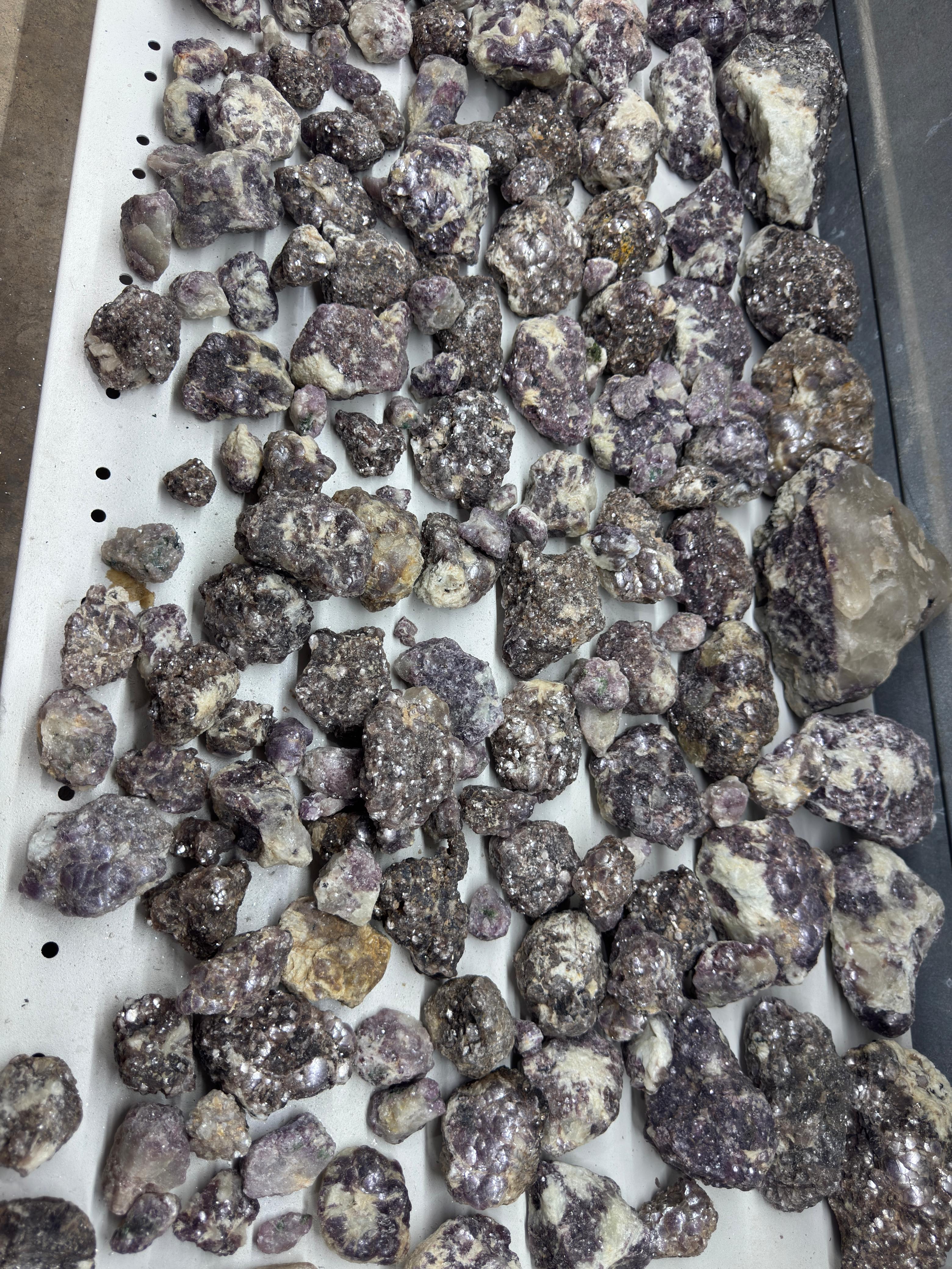 Botryoidal Lepidolite