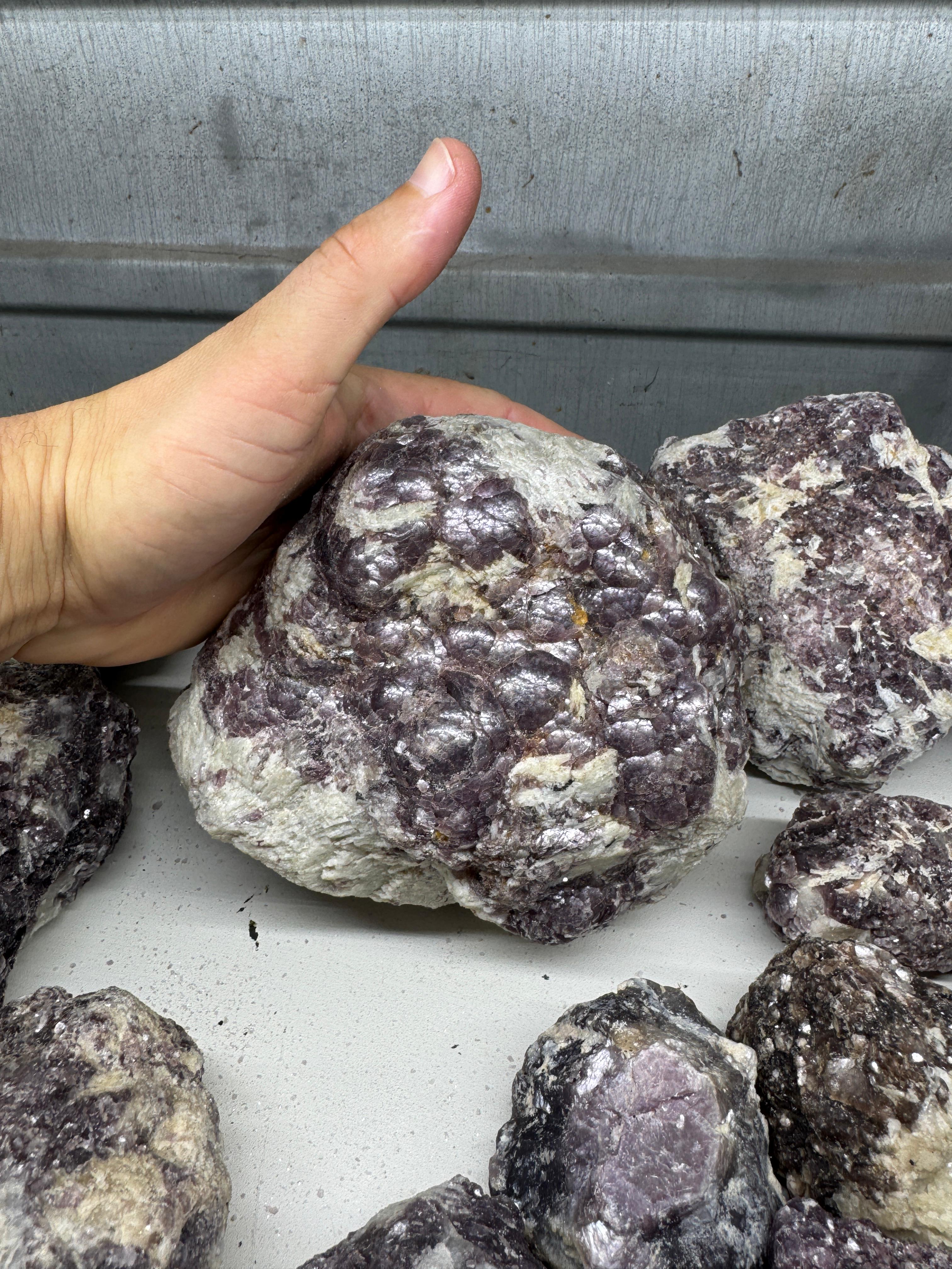 Botryoidal Lepidolite