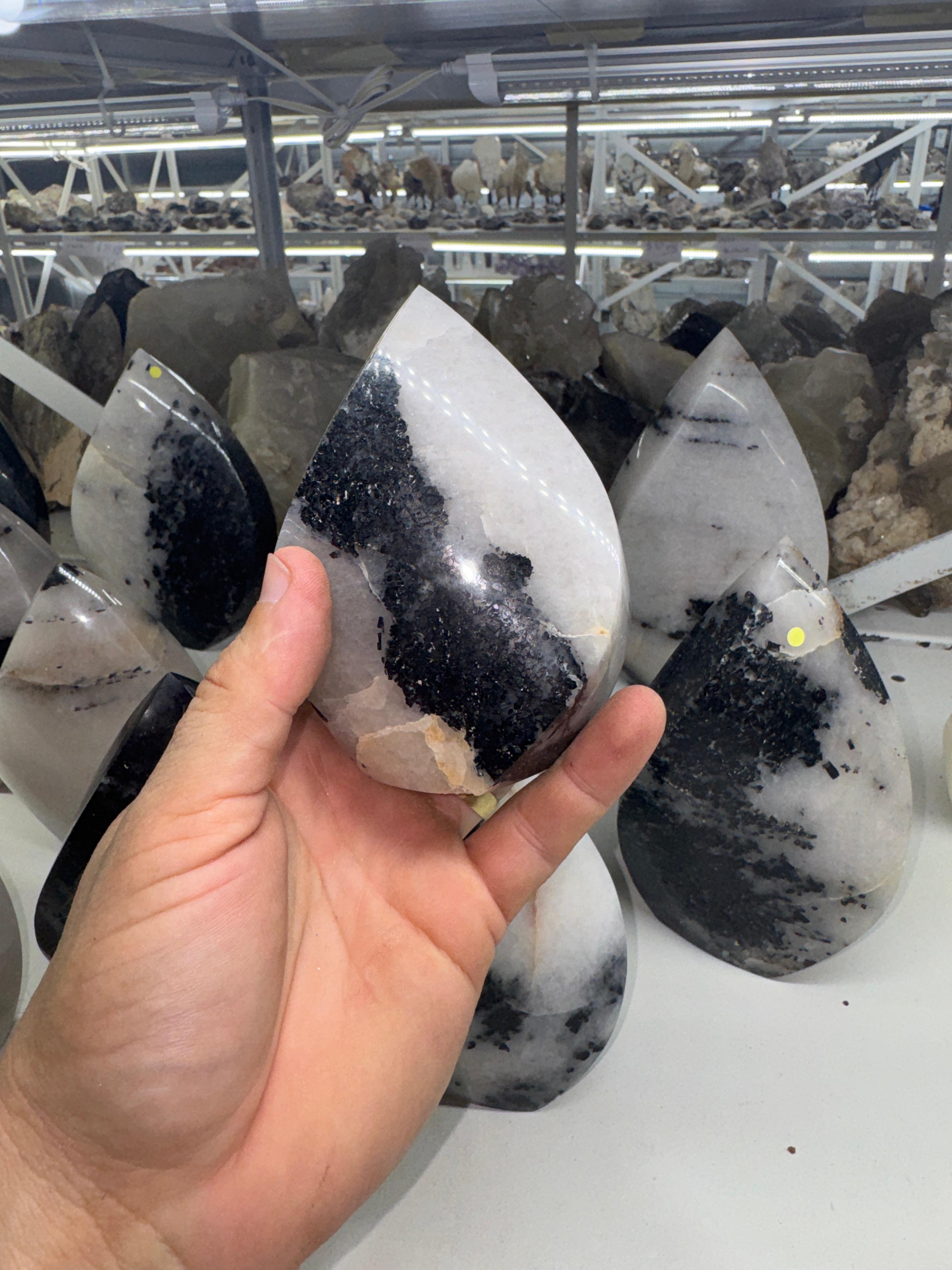 Black Tourmaline in Quartz Flame
