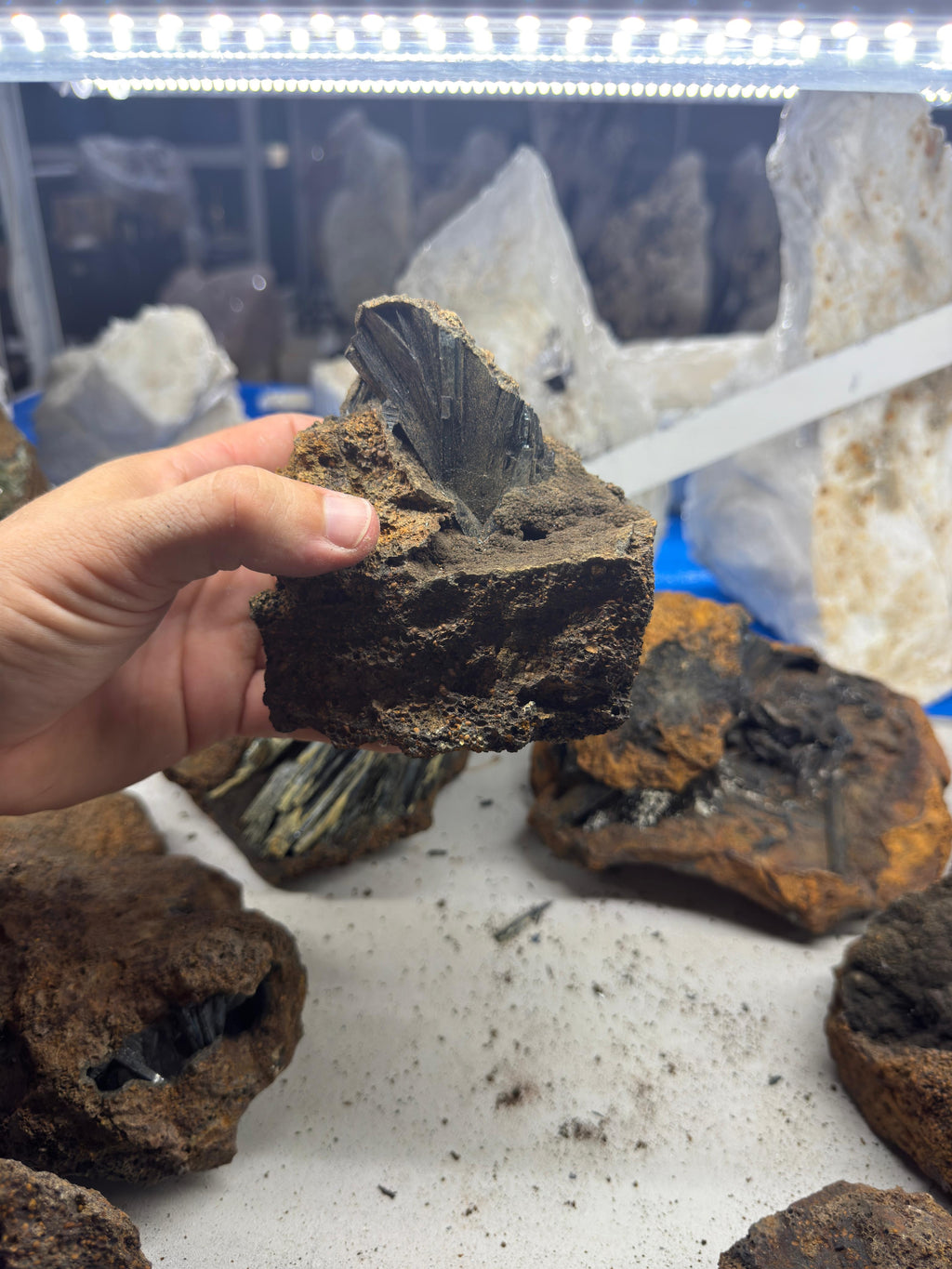 Vivianite