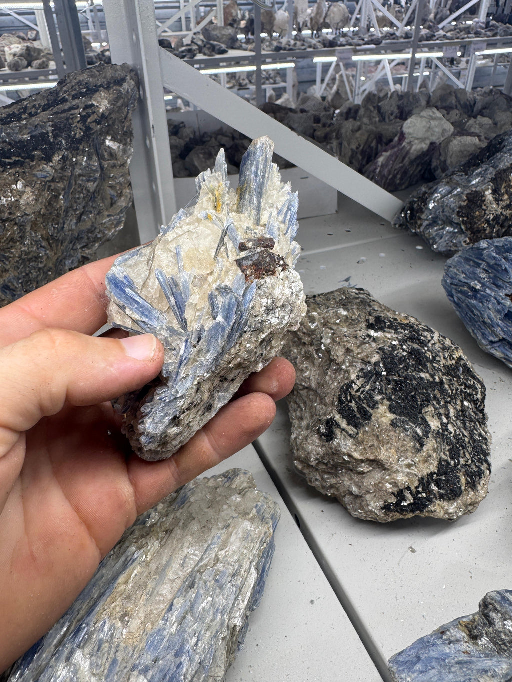 Blue Kyanite "B"