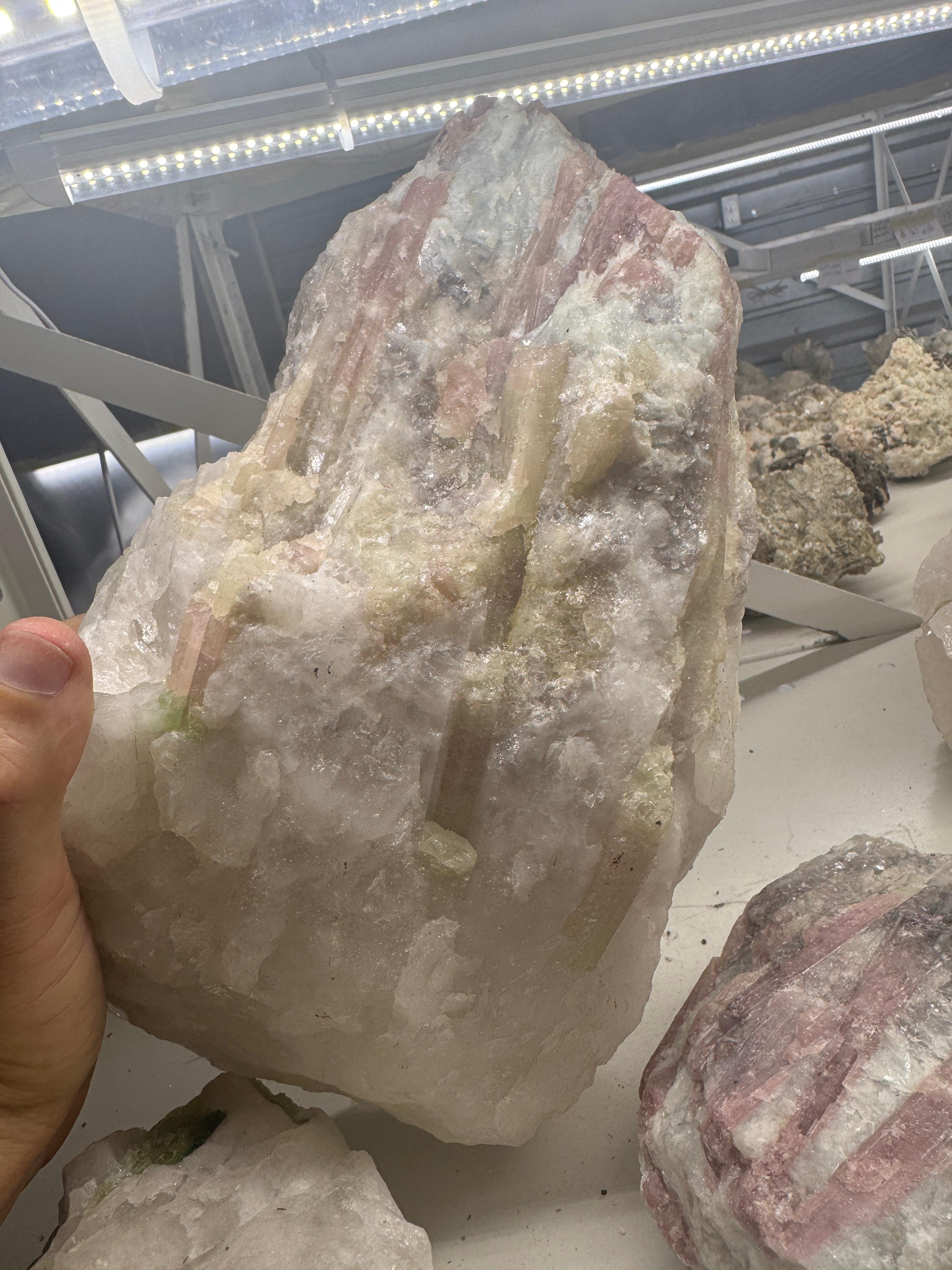Pink Tourmaline in Albite with Morganite