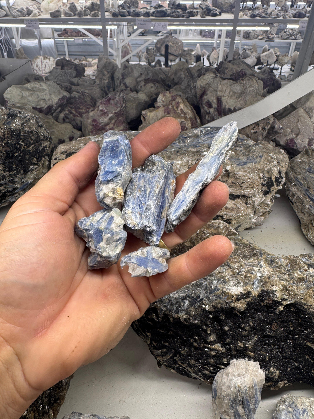 Blue Kyanite "B"
