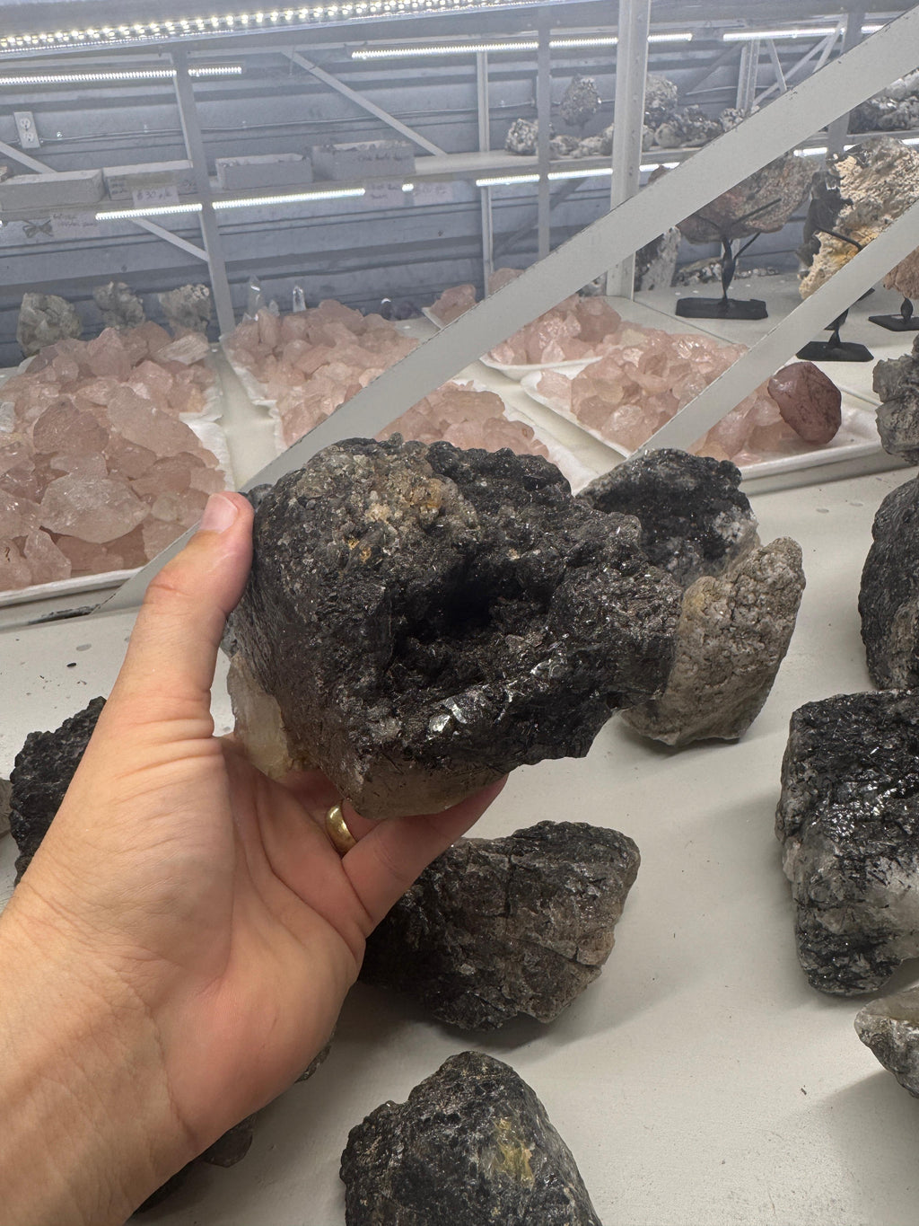 Black Tourmaline in Quartz