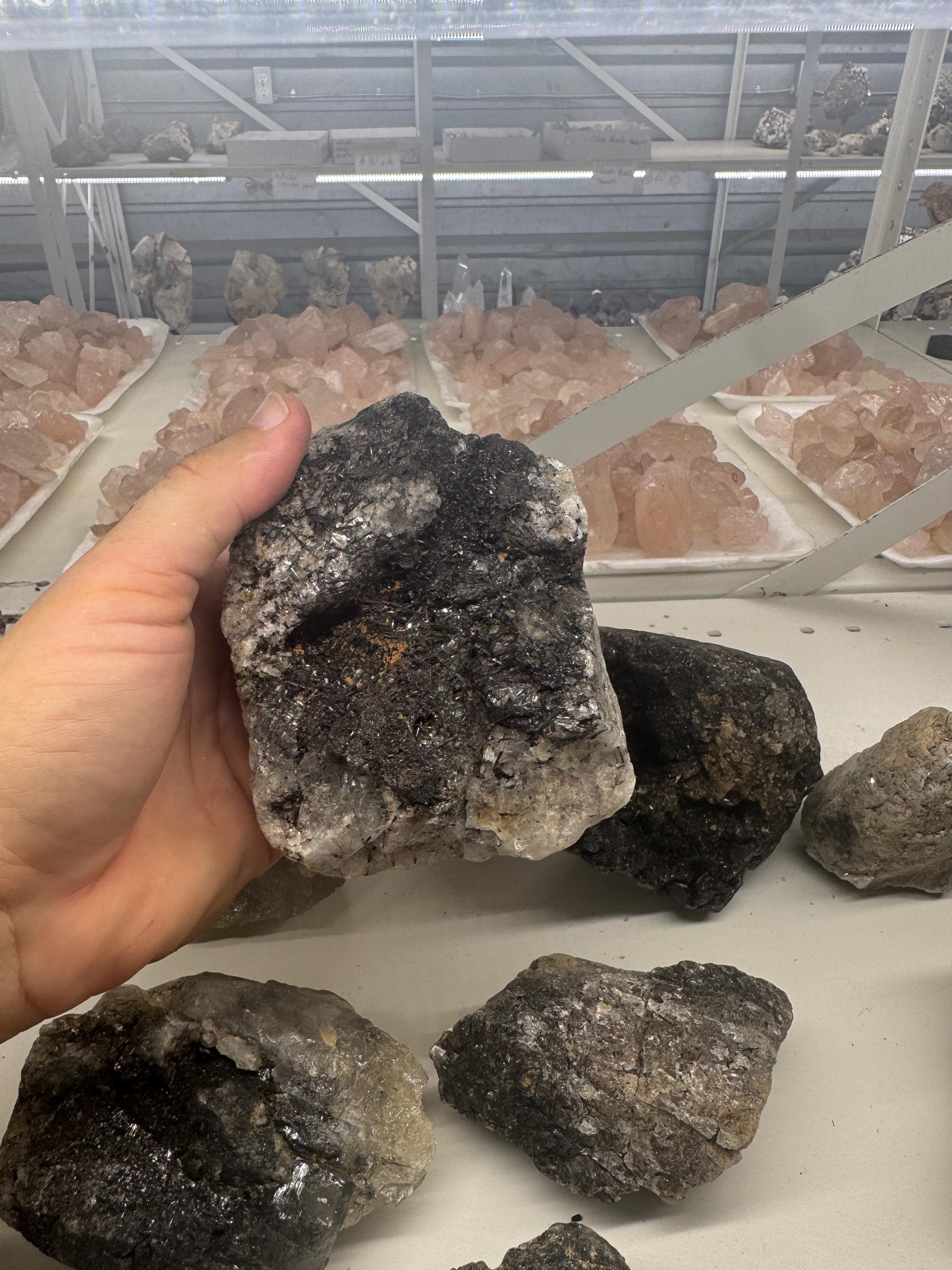 Black Tourmaline in Quartz
