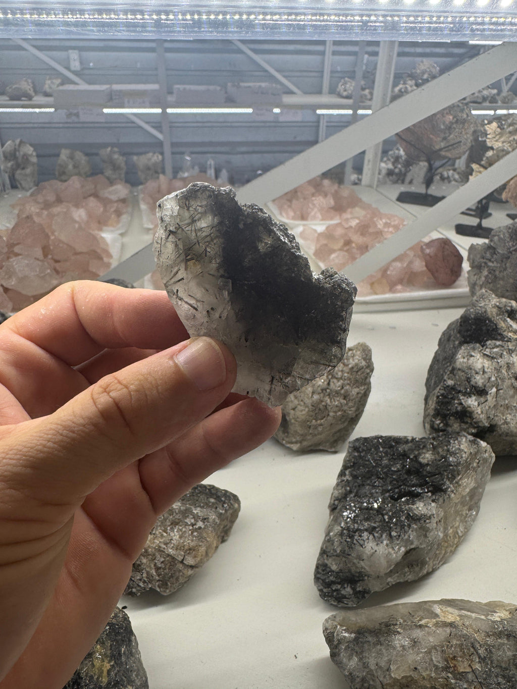 Black Tourmaline in Quartz