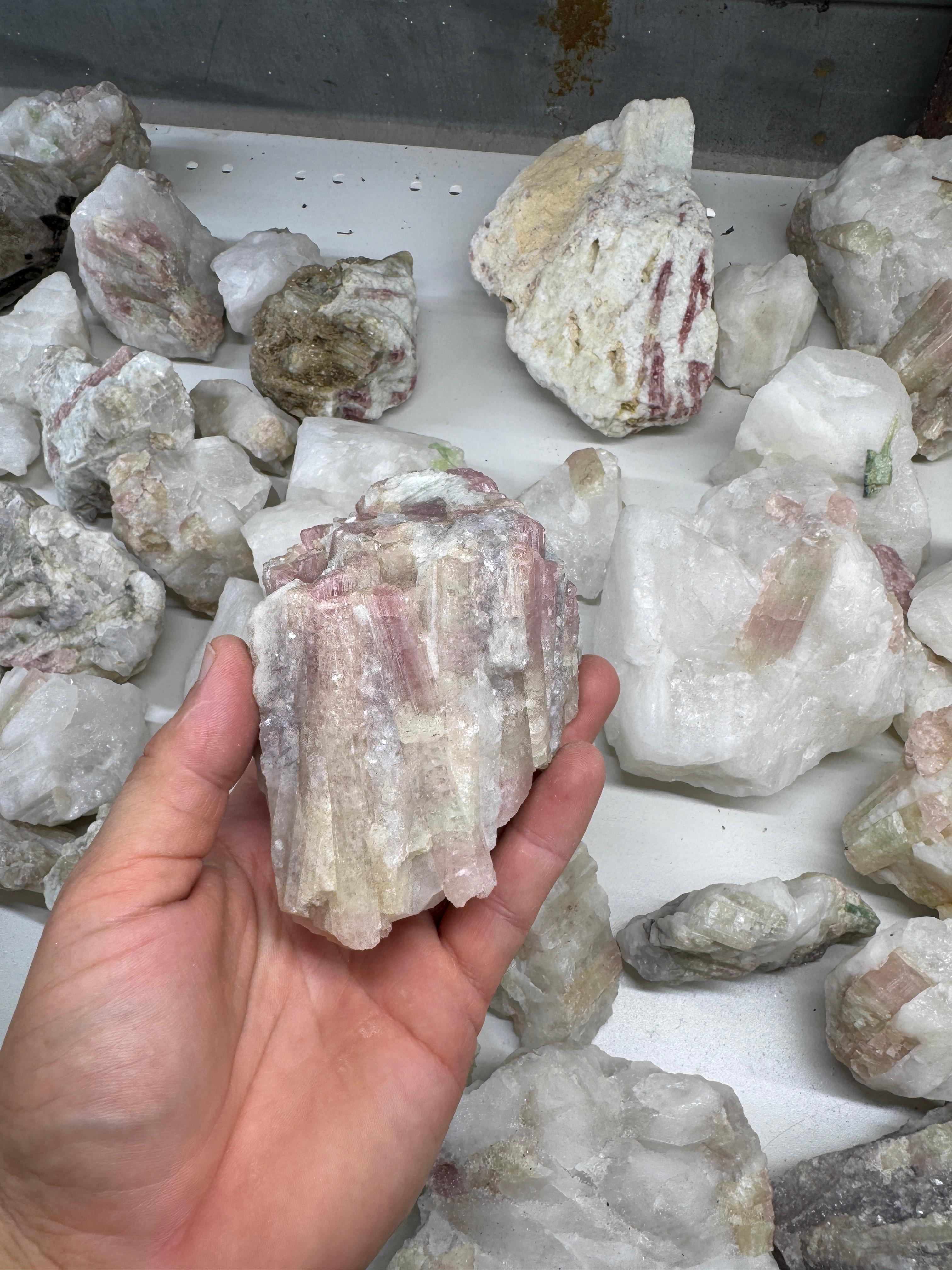 Pink and Bicolor Tourmaline