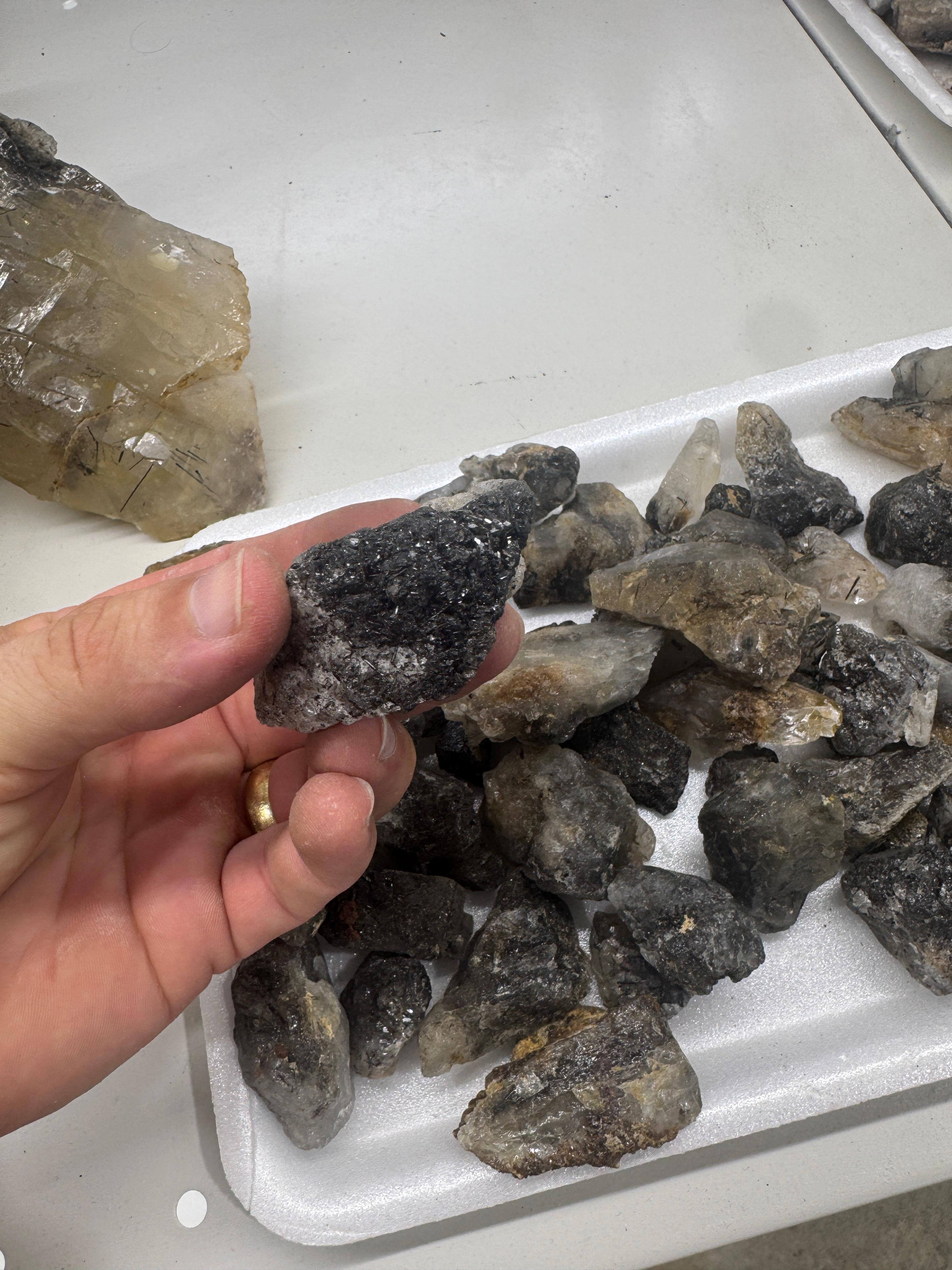 Black Tourmaline in Quartz