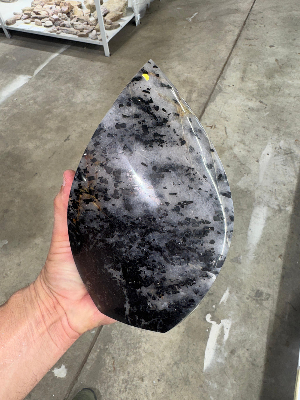 Black Tourmaline in Quartz Flame