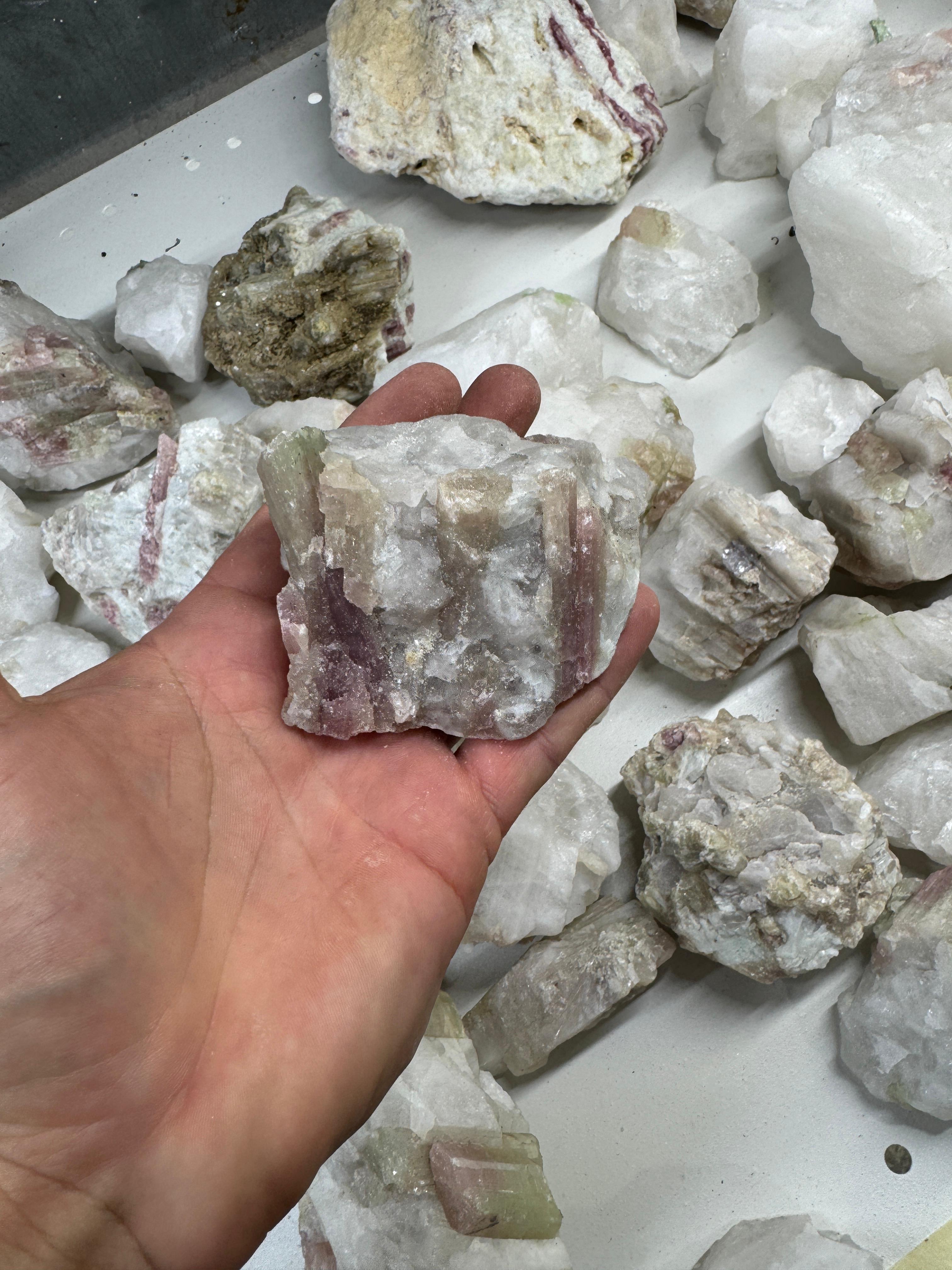 Pink and Bicolor Tourmaline