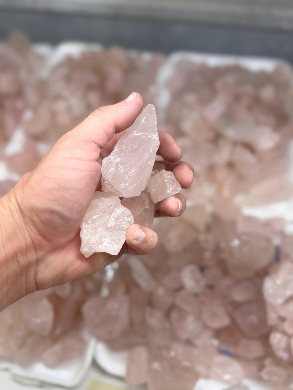 Rose Quartz
