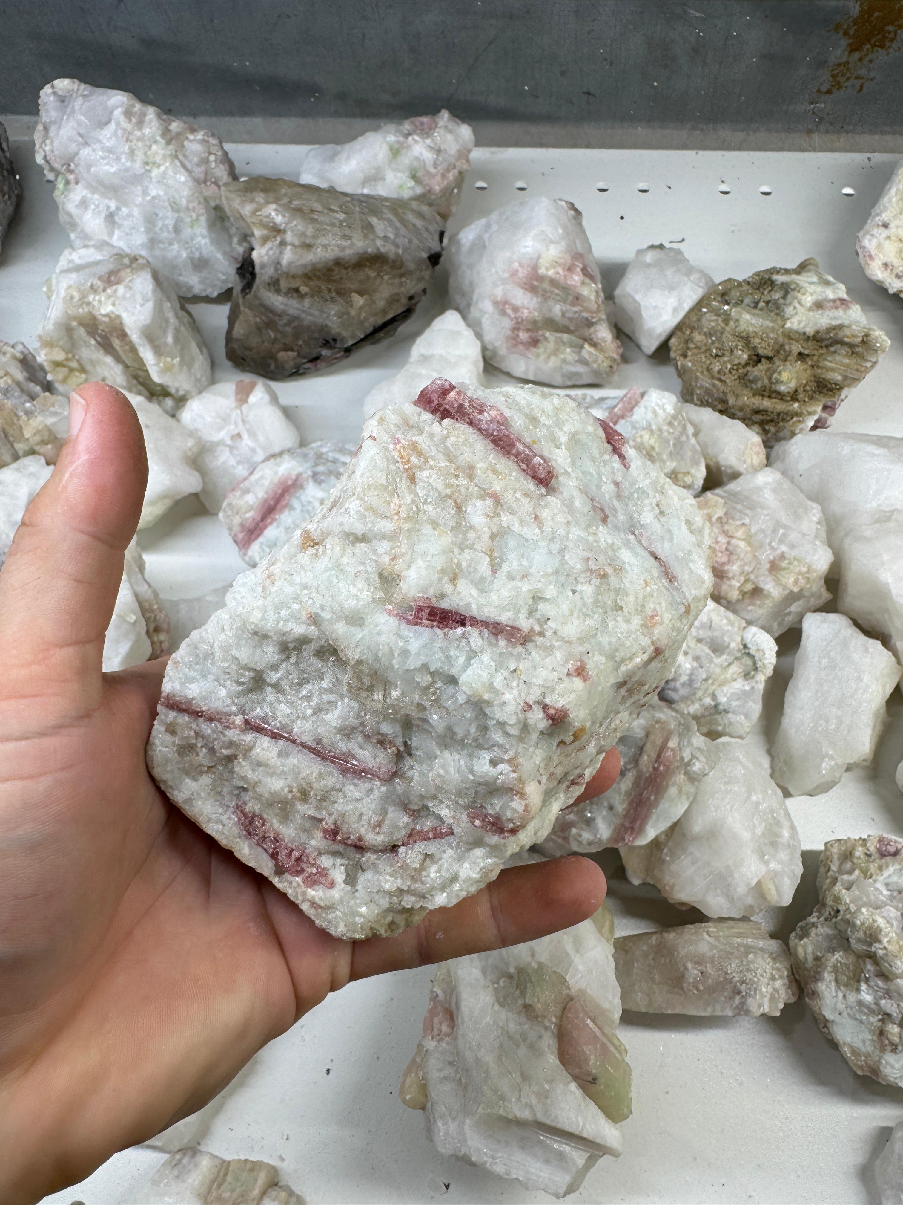 Pink and Bicolor Tourmaline