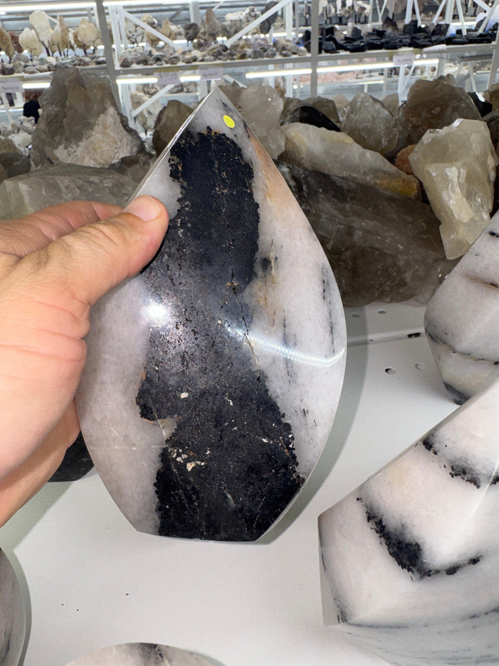 Black Tourmaline in Quartz Flame