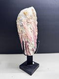 Mix Crystal on stand (Contact for price)