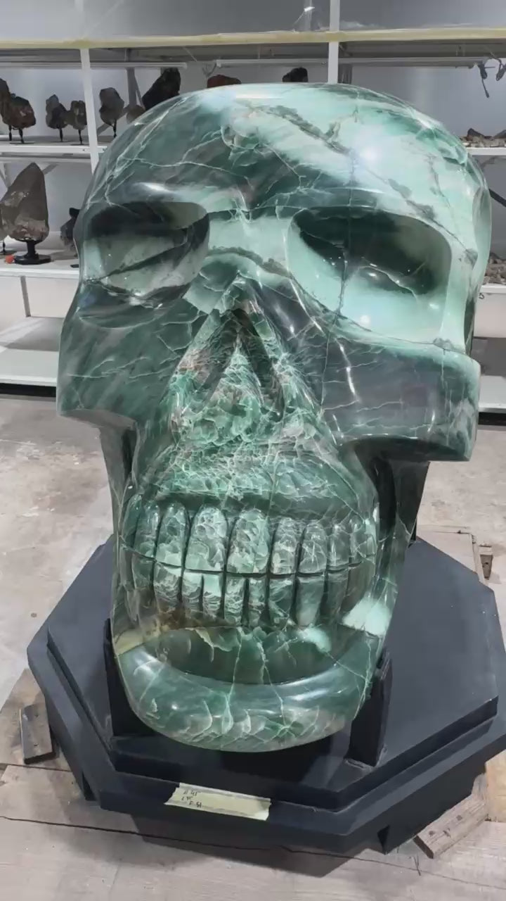 Large Crystal Skull (Contact for price)